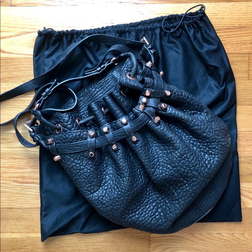 Alexander Wang Diego Bag with rose gold hardware
